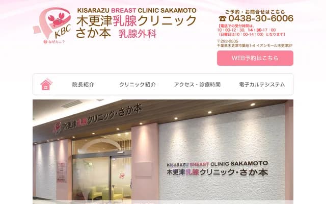 Kisarazu Breast Clinic Sakamoto - 1-4 Tsukiji, Kisarazu, Chiba (Aeon Mall Kisarazu 2F)