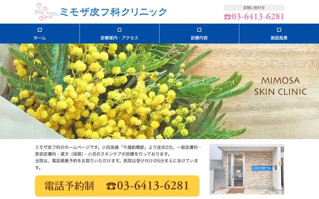 미모자 피부과 클리닉 - 도쿄도 세타가야구 사쿠라가오카 2-17-16