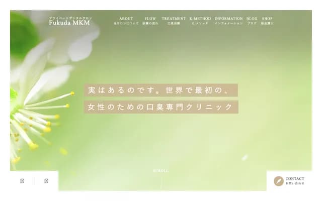 Private Dental Salon Fukuda MKM