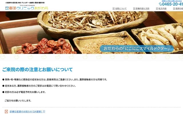 Toyo Clinic Odawara - Sakae-cho, Odawara, Kanagawa