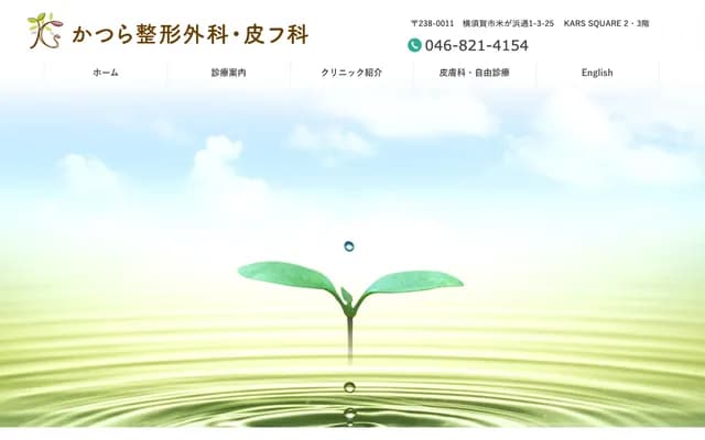 Katsura Orthopedics & Dermatology - 1-3-25 Komegahama-dori, Yokosuka, Kanagawa