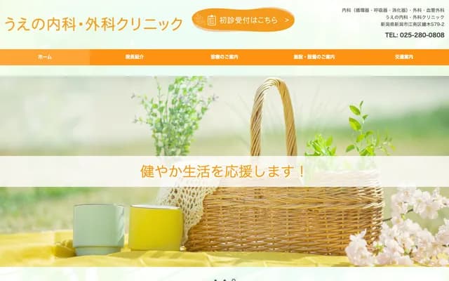 Ueno Internal Medicine & Surgery Clinic - 579-2 Kanegi, Konan-ku, Niigata, Niigata