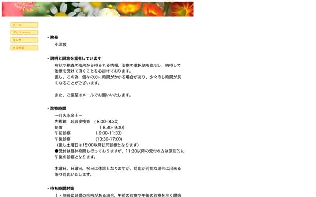 Ozu Surgery Clinic - 69-1 Obama-Hiyoshi, Obama, Fukui