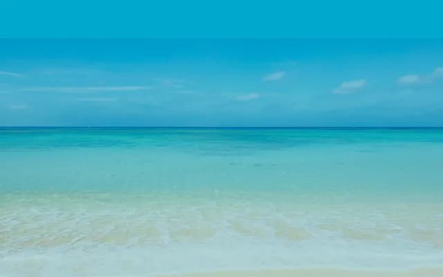 Takeuchi Internal Medicine Clinic - 40-2-4 Sunagare, Tsuruga, Fukui