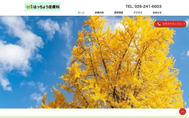 Haccho Dermatology Clinic - 3-22-16 Yoshida, Nagano, Nagano