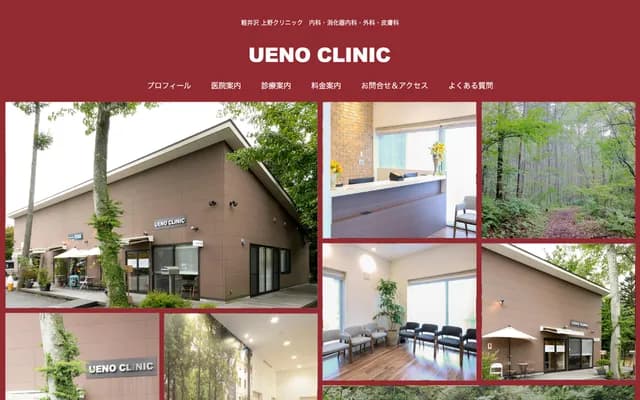 Ueno Clinic - 1323-1452 Karuizawa, Karuizawa-machi, Kitasaku-gun, Nagano