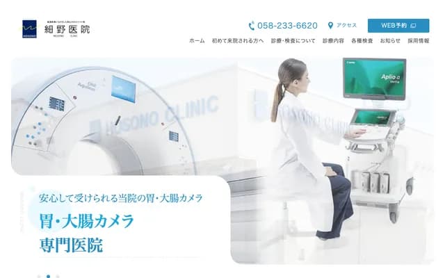 Hosono Clinic - 3-9-13 Fukomitsu Nishi, Gifu, Gifu