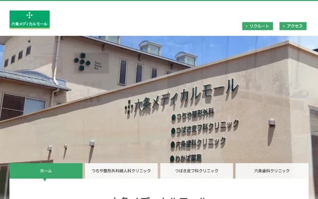 Tsubasa Dermatology Clinic - 2-10-9 Rokujo Kita, Gifu, Gifu (inside Rokujo Medical Mall)