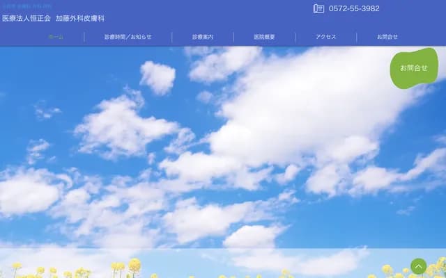 Kato Surgery & Dermatology - 44-11 Izumi-cho Kukuri, Toki, Gifu