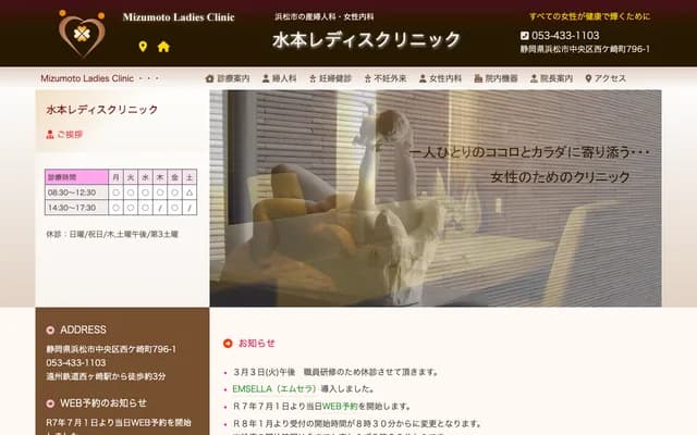 Mizumoto Ladies Clinic