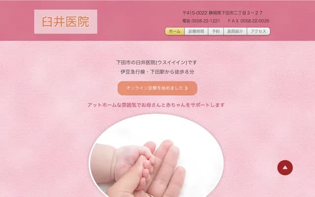 Usui Clinic - 2-3-27 Shimoda, Shizuoka