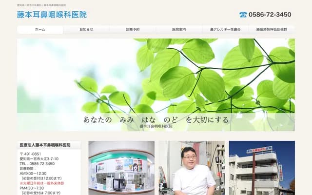 Fujimoto ENT Clinic - 3-7-10 Oe, Ichinomiya, Aichi