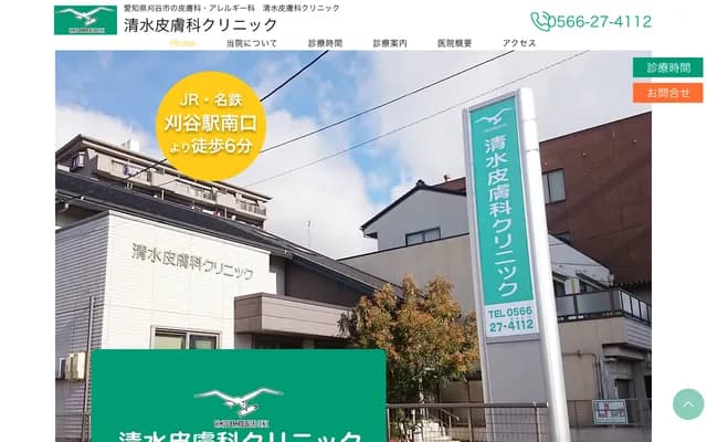 Shimizu Dermatology Clinic - 1-3-2 Ote-machi, Kariya, Aichi