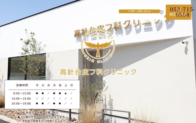 Takanebadai Dermatology Clinic - 1403-1 Takanebadai 2-chome, Meito-ku, Nagoya, Aichi