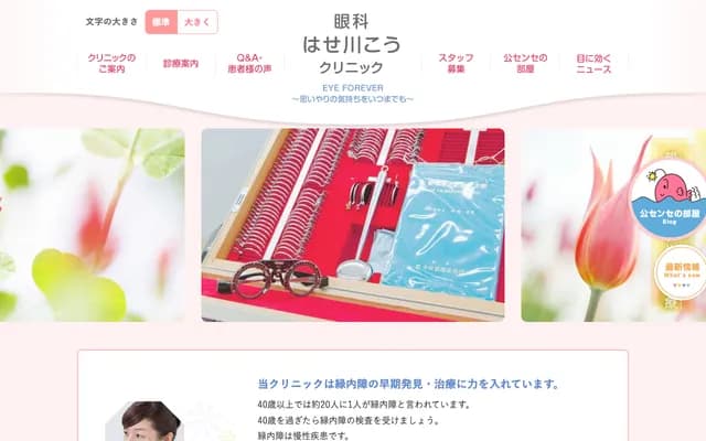 Ophthalmology Hasegawa Ko Clinic - 1-108 Hyogo, Midori-ku, Nagoya, Aichi