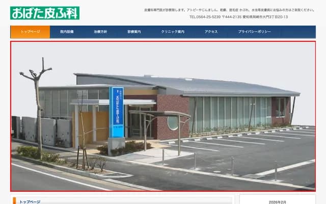 Obata Dermatology - 3-20-13 Daimon, Okazaki, Aichi