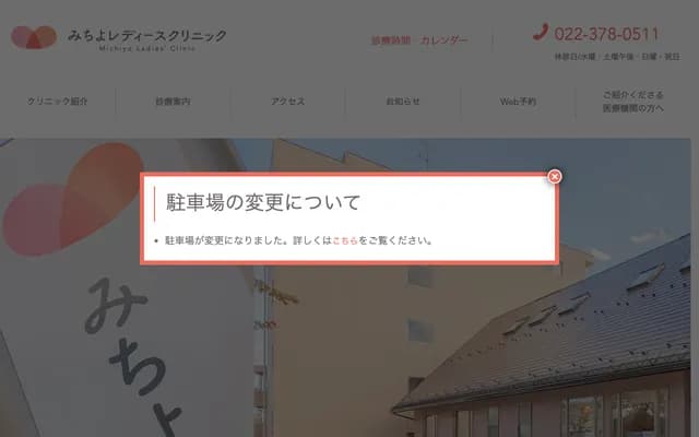 Michiyo Ladies Clinic - 1-1-287 Takamori, Izumi-ku, Sendai, Miyagi