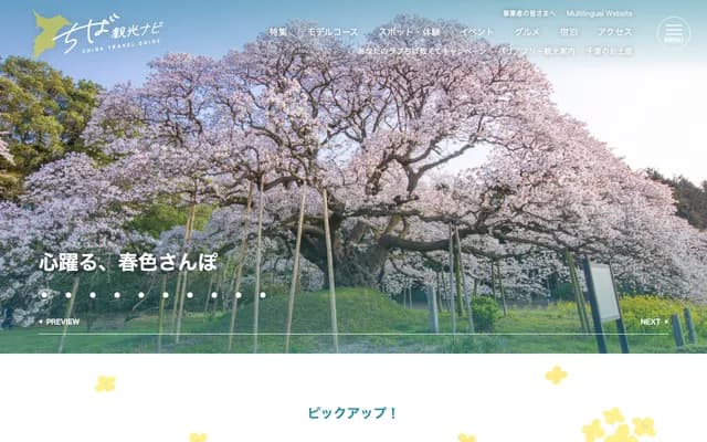 Chiba Internal Medicine Clinic