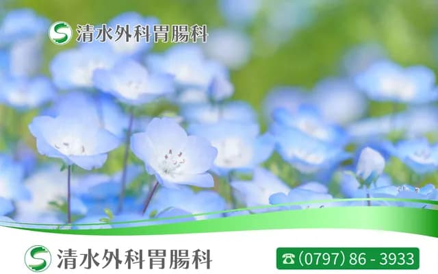 시미즈 외과위장과