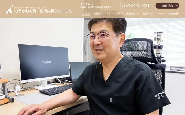 Nougawa Internal Medicine & Hematology Clinic - 20 Motohakurōmachi, Wakayama, Wakayama