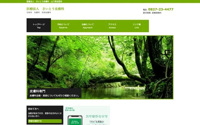 Saito Dermatology - 2-12-42 Kurumamachi, Iwakuni, Yamaguchi