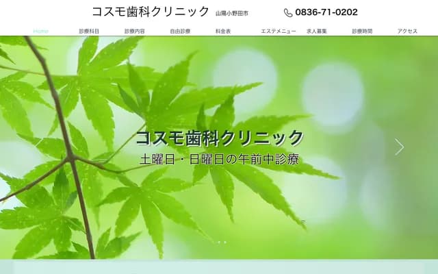 Cosmo Dental Clinic - 478-1 Asa, Sanyo-Onoda, Yamaguchi