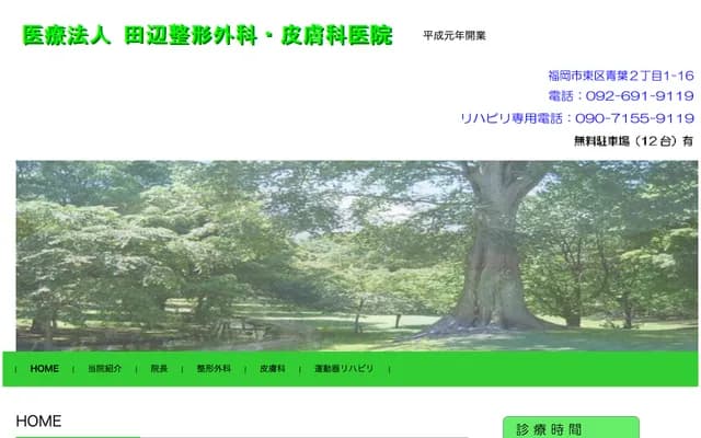 Tanabe Orthopedics Clinic - 2-1-16 Aoba, Higashi-ku, Fukuoka, Fukuoka