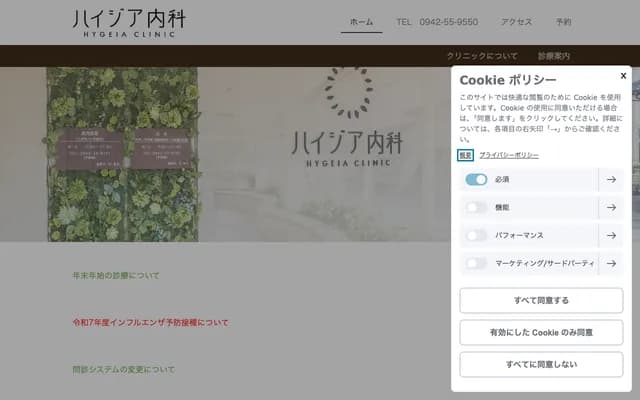 Hygieia Internal Medicine - Tamamitsu, Mizuma-machi, Kurume, Fukuoka