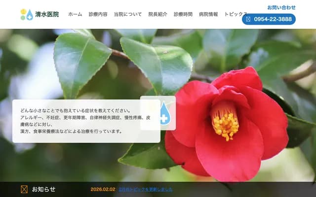 Shimizu Clinic - 7454-1 Tomioka, Takeo-machi, Takeo, Saga