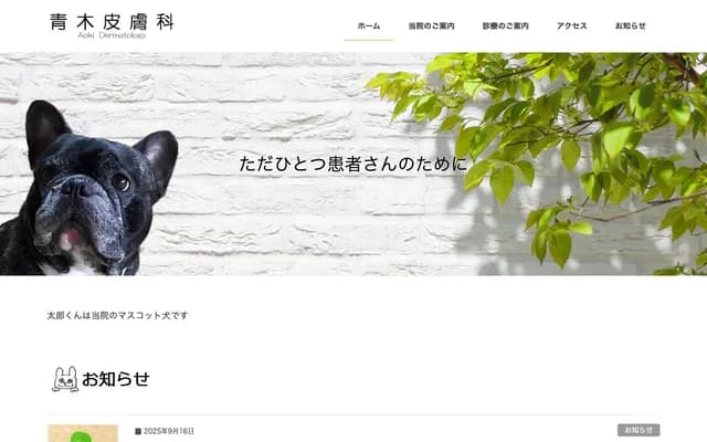 Aoki Dermatology Clinic - 103 Horikawa-cho, Miyazaki, Miyazaki