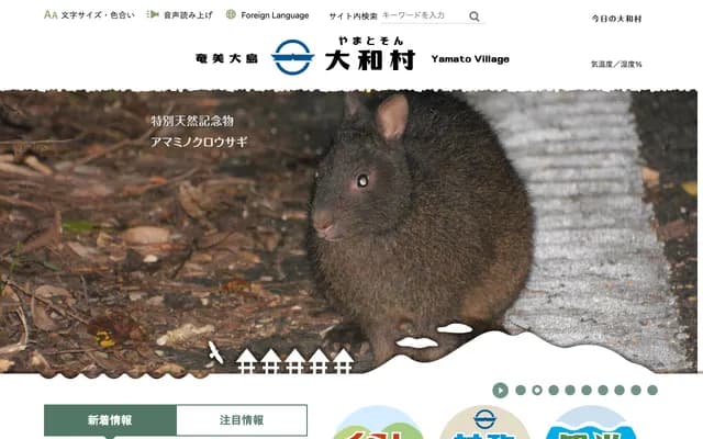 Yamato National Health Insurance Clinic