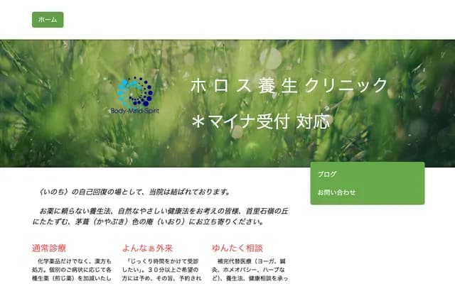 Holos Yojo Clinic - 2-258-2 Shuri Ishimine-cho, Naha, Okinawa