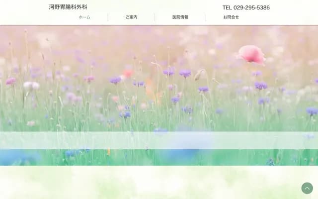 Kono Gastroenterology Surgery - 3-10-5 Takenouchі, Naka, Ibaraki