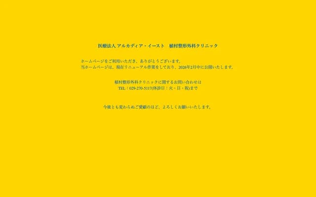 Uemura Orthopedics Clinic - 917-2 Funaishikawa, Tokai-mura, Naka-gun, Ibaraki