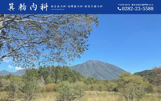 Minowa Internal Medicine Clinic - 10-6 Kaemon-machi, Tochigi, Tochigi