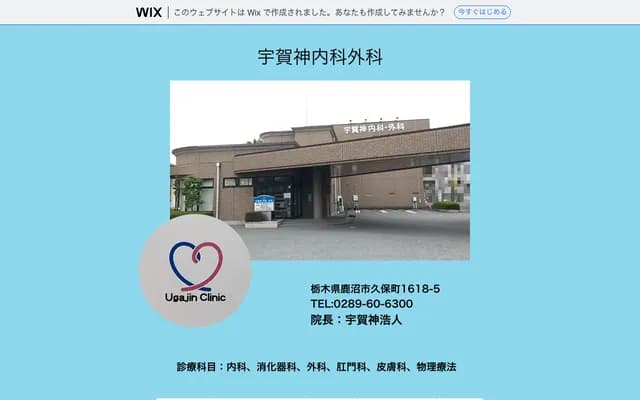 Ugajin Internal Medicine & Surgery - Kubo-machi, Kanuma, Tochigi