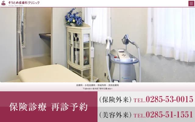 Sotome Dermatology Clinic - 803-1 Ishibashi, Shimotsuke, Tochigi