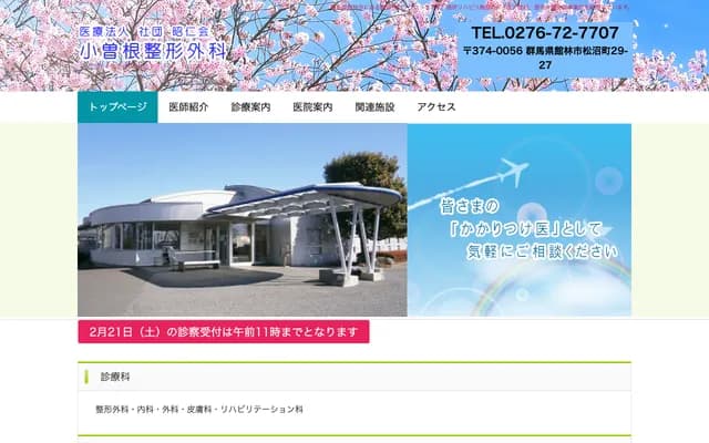 Ozone Orthopedics - 29-27 Matsunuma-machi, Tatebayashi, Gunma