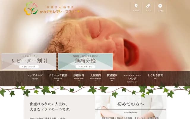 가와구치 레이디스 클리닉