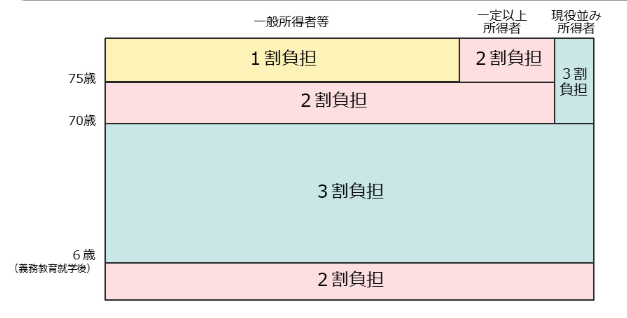 The patient copayment ratio varies by age